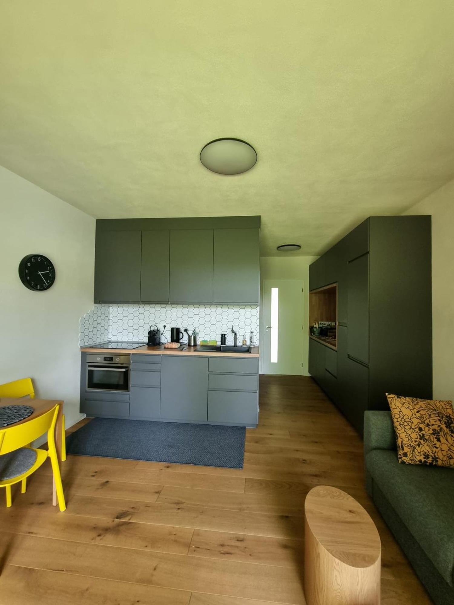 Apartman Berg Brcalnik Zelezna Ruda Exterior photo